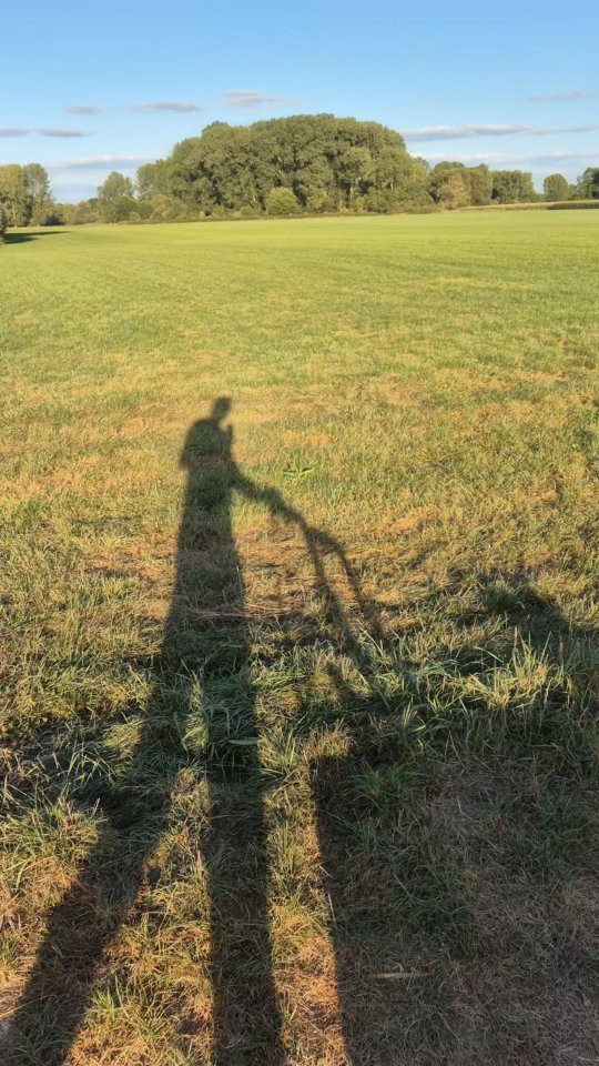 Een heerlijke buitenspeeldag!

Een mooie afsluiting van een eerste bomvolle werkweek.

Op naar week twee, op naar meer tijd voor Young Talent Coach! Binnenkort meer...

#weekend #buitenspelen #coach #eindevakantie